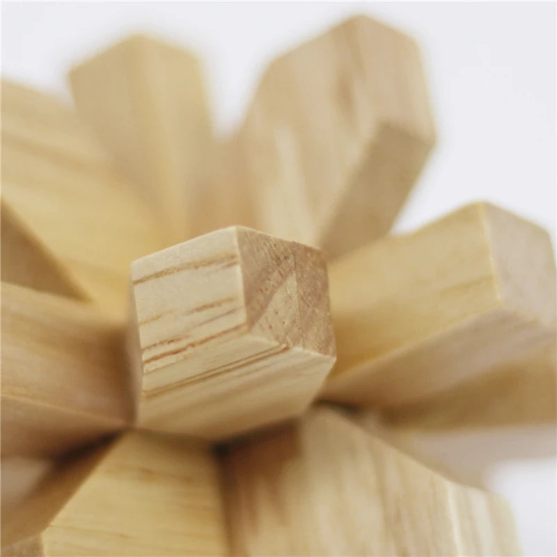 Chinese Wooden Puzzle