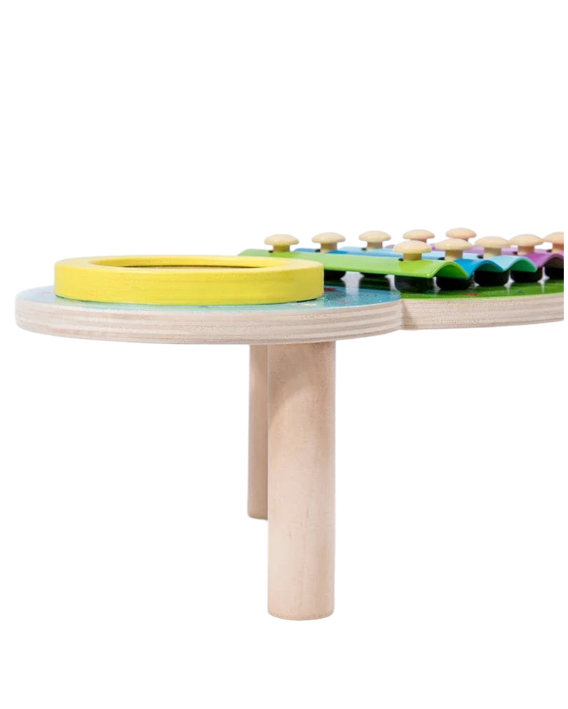 Montessori Wooden Percussion Musical Instruments Kit