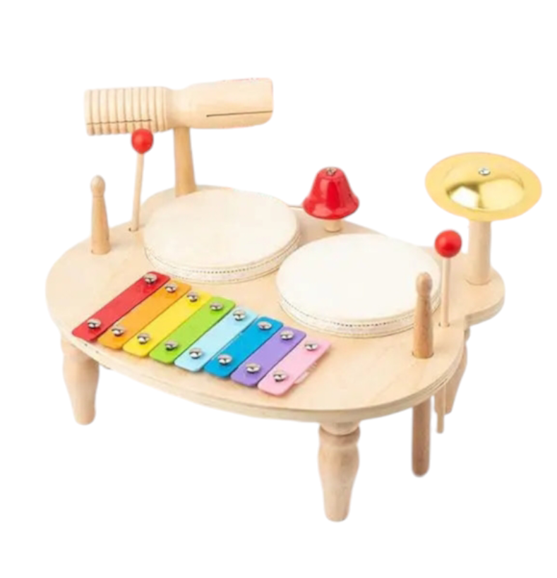 Montessori Wooden Percussion Musical Instruments Kit