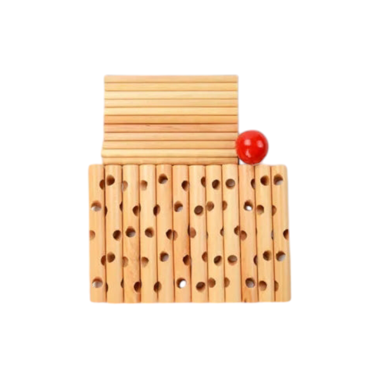 Chinese Wooden Puzzle