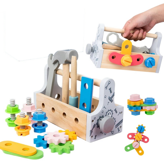 Montessori Wooden and Plastic Craft Kit Toy