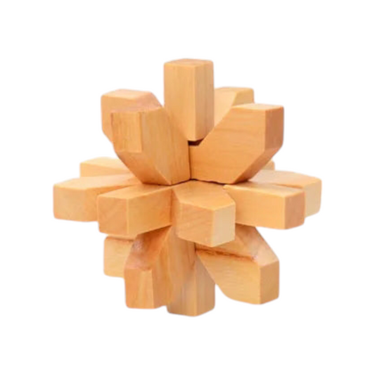 Chinese Wooden Puzzle