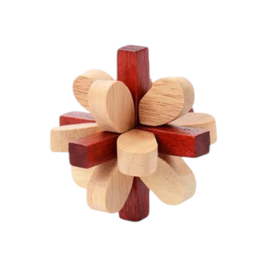 Chinese Wooden Puzzle