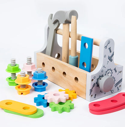 Montessori Wooden and Plastic Craft Kit Toy