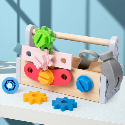 Montessori Wooden and Plastic Craft Kit Toy
