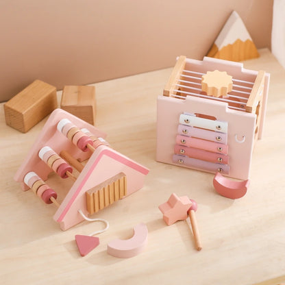 5 in 1 Montessori Wooden and Silicone Educational Toy