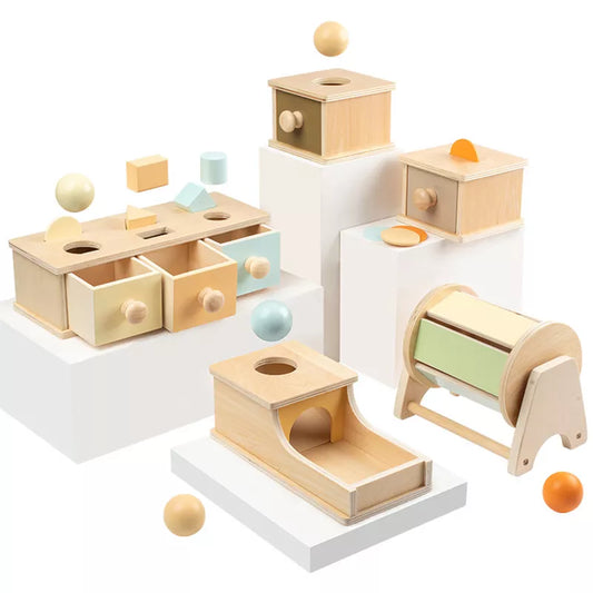 Montessori Wooden Matching Toys