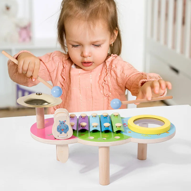 Montessori Wooden Percussion Musical Instruments Kit